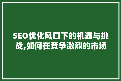 SEO优化风口下的机遇与挑战,如何在竞争激烈的市场中脱颖而出