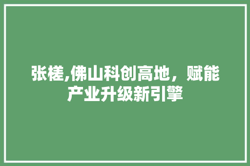 张槎,佛山科创高地，赋能产业升级新引擎
