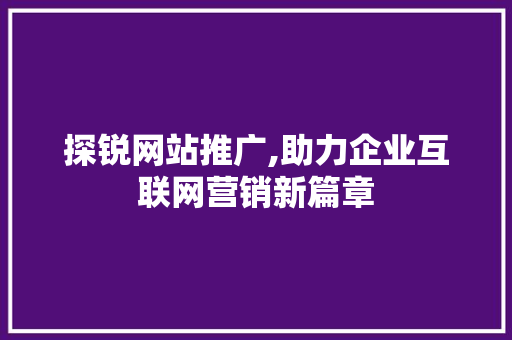 探锐网站推广,助力企业互联网营销新篇章