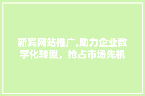 新宾网站推广,助力企业数字化转型，抢占市场先机