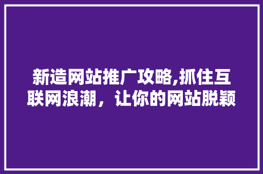 新造网站推广攻略,抓住互联网浪潮，让你的网站脱颖而出