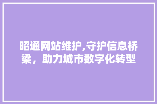 昭通网站维护,守护信息桥梁，助力城市数字化转型