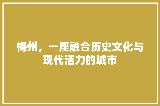 梅州，一座融合历史文化与现代活力的城市