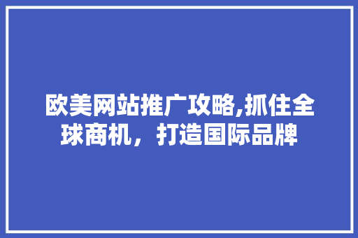 欧美网站推广攻略,抓住全球商机，打造国际品牌