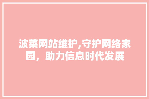 波菜网站维护,守护网络家园，助力信息时代发展