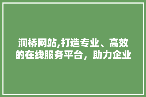 洞桥网站,打造专业、高效的在线服务平台，助力企业腾飞
