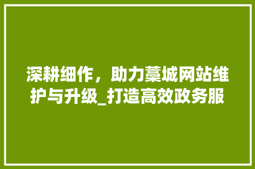 深耕细作，助力藁城网站维护与升级_打造高效政务服务平台