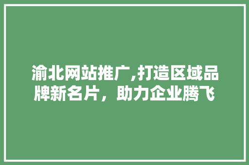 渝北网站推广,打造区域品牌新名片，助力企业腾飞