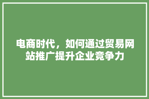 电商时代，如何通过贸易网站推广提升企业竞争力