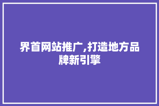 界首网站推广,打造地方品牌新引擎