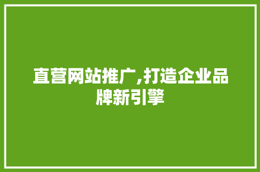 直营网站推广,打造企业品牌新引擎