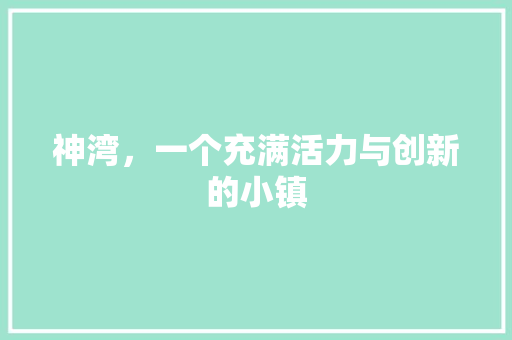 神湾，一个充满活力与创新的小镇