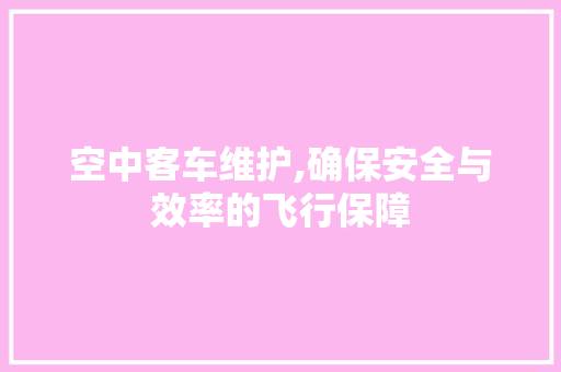 空中客车维护,确保安全与效率的飞行保障
