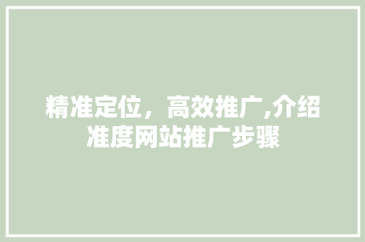 精准定位，高效推广,介绍准度网站推广步骤