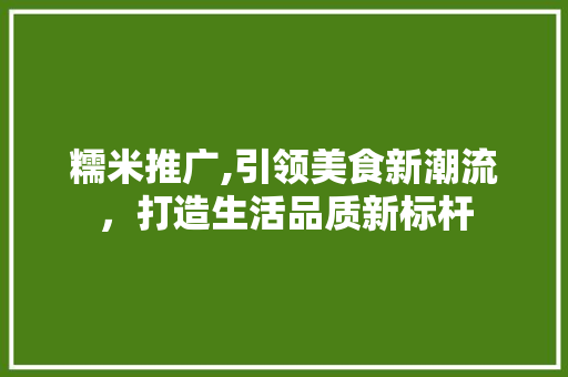 糯米推广,引领美食新潮流，打造生活品质新标杆