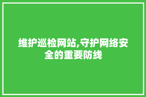维护巡检网站,守护网络安全的重要防线