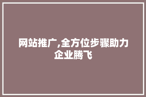 网站推广,全方位步骤助力企业腾飞