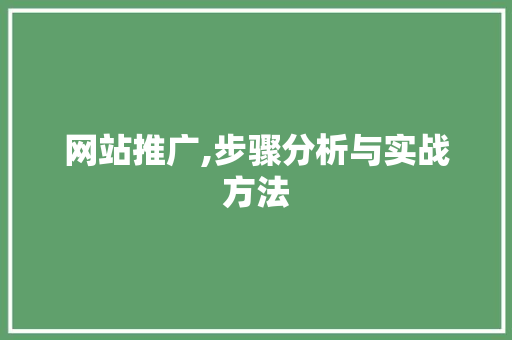 网站推广,步骤分析与实战方法
