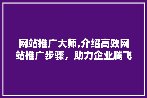 网站推广大师,介绍高效网站推广步骤，助力企业腾飞