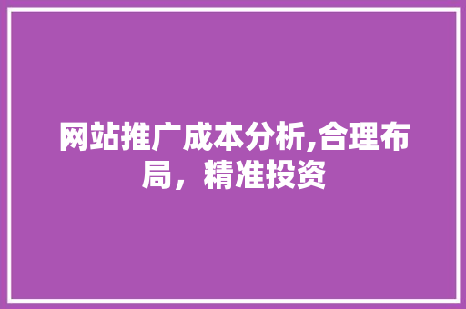 网站推广成本分析,合理布局，精准投资