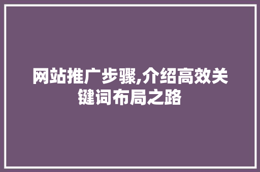 网站推广步骤,介绍高效关键词布局之路