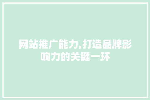 网站推广能力,打造品牌影响力的关键一环