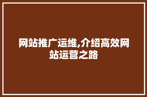 网站推广运维,介绍高效网站运营之路