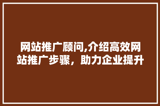 网站推广顾问,介绍高效网站推广步骤，助力企业提升在线影响力