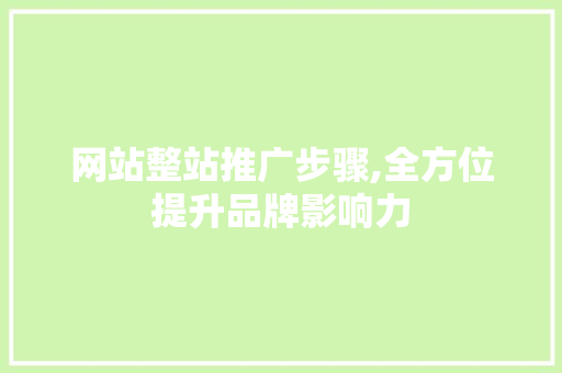 网站整站推广步骤,全方位提升品牌影响力 友链在线