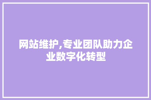 网站维护,专业团队助力企业数字化转型