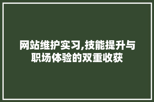 网站维护实习,技能提升与职场体验的双重收获 SEO教程