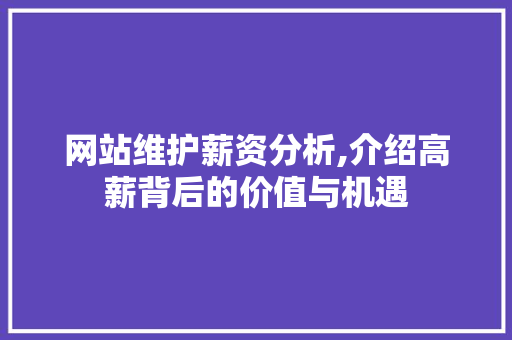 网站维护薪资分析,介绍高薪背后的价值与机遇