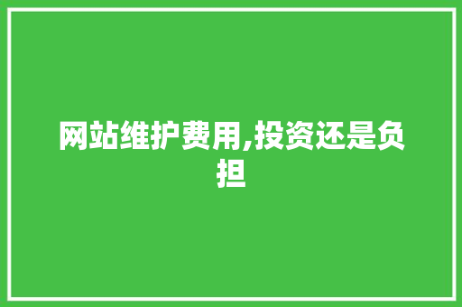 网站维护费用,投资还是负担