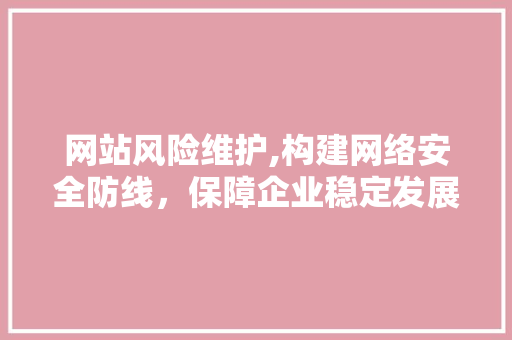 网站风险维护,构建网络安全防线，保障企业稳定发展