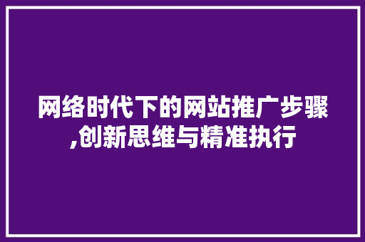 网络时代下的网站推广步骤,创新思维与精准执行