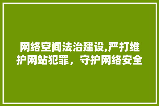 网络空间法治建设,严打维护网站犯罪，守护网络安全