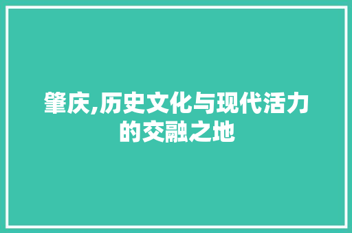 肇庆,历史文化与现代活力的交融之地