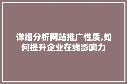 详细分析网站推广性质,如何提升企业在线影响力