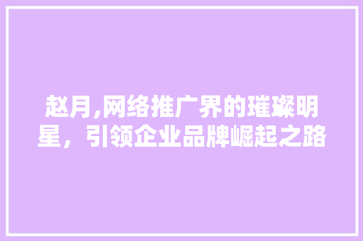 赵月,网络推广界的璀璨明星，引领企业品牌崛起之路