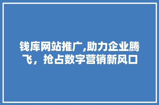 钱库网站推广,助力企业腾飞，抢占数字营销新风口 WordPress教程