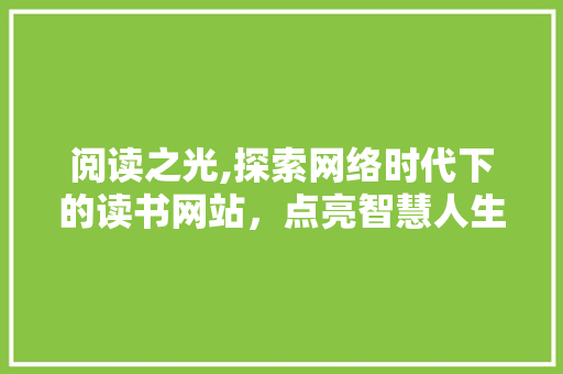阅读之光,探索网络时代下的读书网站，点亮智慧人生 建站教程