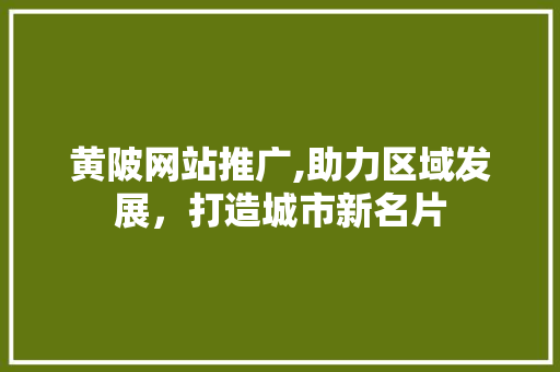 黄陂网站推广,助力区域发展，打造城市新名片