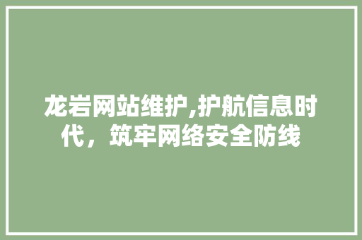 龙岩网站维护,护航信息时代，筑牢网络安全防线