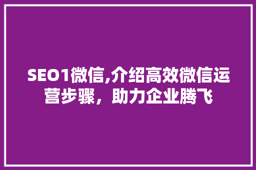 SEO1微信,介绍高效微信运营步骤，助力企业腾飞