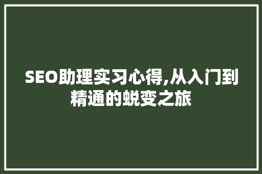 SEO助理实习心得,从入门到精通的蜕变之旅