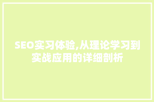 SEO实习体验,从理论学习到实战应用的详细剖析