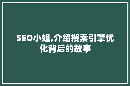 SEO小姐,介绍搜索引擎优化背后的故事