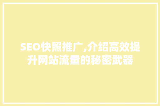 SEO快照推广,介绍高效提升网站流量的秘密武器