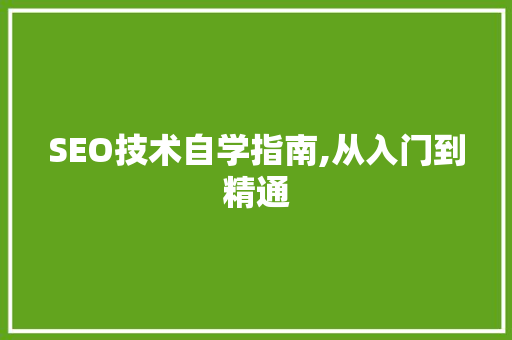 SEO技术自学指南,从入门到精通