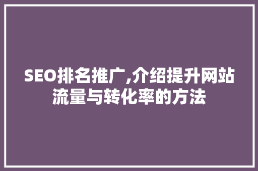 SEO排名推广,介绍提升网站流量与转化率的方法